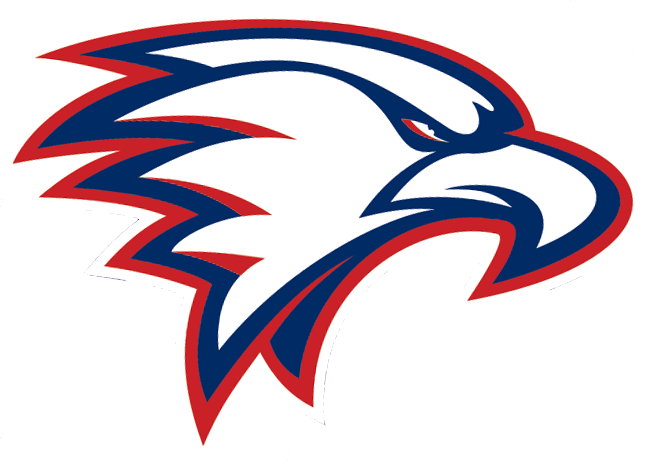 Bald Eagle Sports Logo